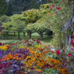 Stanley Park - Rose Garden